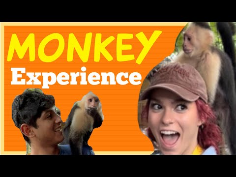 Monkey Experience in Roatan, Honduras 🇭🇳