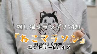 『ねこマラソン』チャンネルをぜひ観てください～#推し猫グランプリ 応援動画～