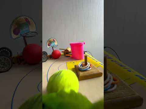 Bird Training : Smart lovebird Parrot | Smart Little Cute Parrot #training #smartparrot #cute