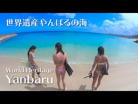 Snorkeling in World Heritage Northen part of Okinawa Yanbaru | CoffeBoat |  | シュノーケリング@沖縄国頭やんばる