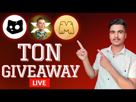 X Empire Listings Confirm Bybit & Betget || Live ton giveaway 🎁 || Memefi New update