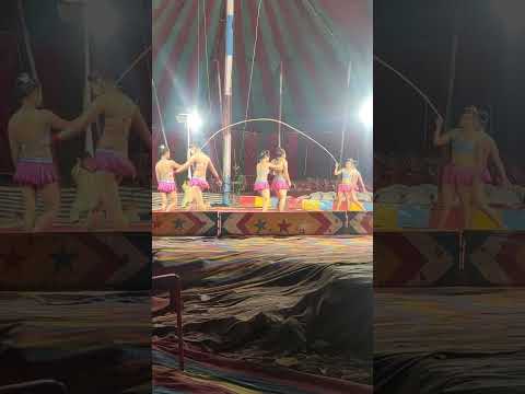 Bingo Circus 🎪  Part 3 #shorts #viralvideo #shortsvideo #bingo #bingocircus #circus #navimumbai