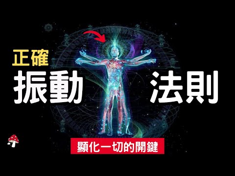 一旦學會正確振動，轉變就會立即發生！【科學證實】改變能量場，就能改變現實｜吸引力法則｜宇宙法則