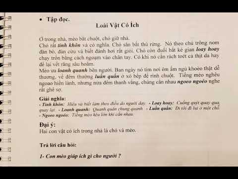 BIN&BIN | Loài vật có ích