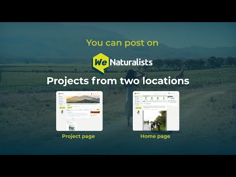 How to post in your WeNaturalists Project?