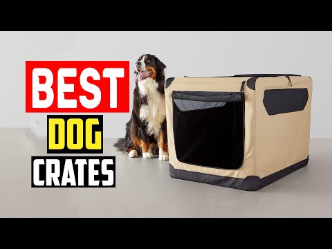 ✅Top 5 Best Big Dog Crates for Large and Giant Breeds in 2024