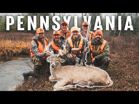 PUBLIC LAND Rifle Buck!!! (Deer Drives in the Big Woods)