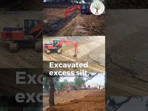 EFI's Haliyaki Pond | Gurugram | Restoration Update #shorts