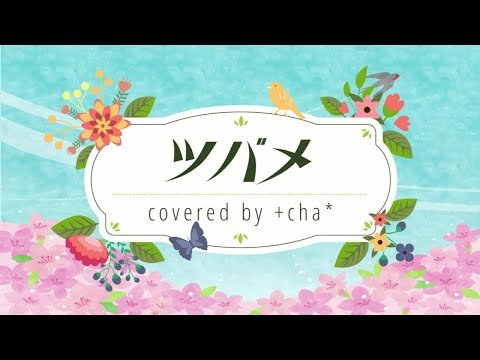 ツバメ - YOASOBI with ミドリーズ // +cha* (cover)