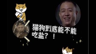 猫狗到底能不能吃盐？！