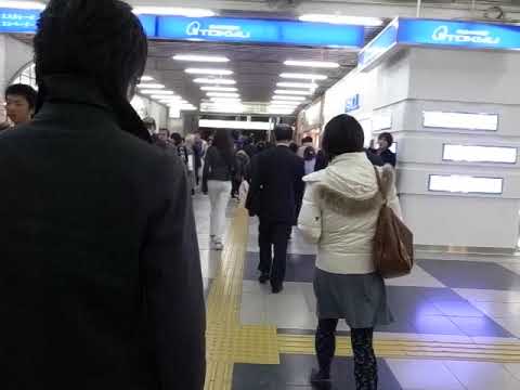 2009 渋谷駅 山手線から井の頭線までの乗り換え 091201