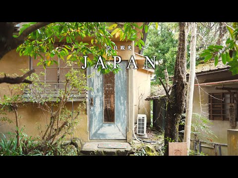 Nara Travel] A Wonderful Cafe in a Forest in Nara｜Nara Sightseeing/Cafe Tour