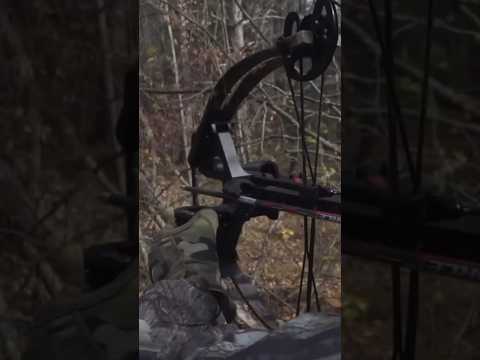 🏹Ultimate Compact Weapon- Mini Survival Crossbow #shorts #survival #shortsvideo #crossbow #archery