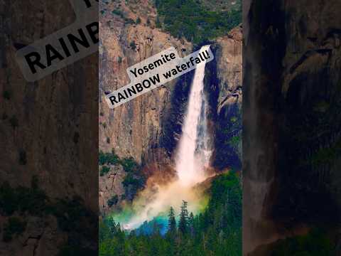 Yosemite’s Rainbow Waterfall! #naturelovers #waterfall #yosemite #travel #ytshorts #youtubeshorts