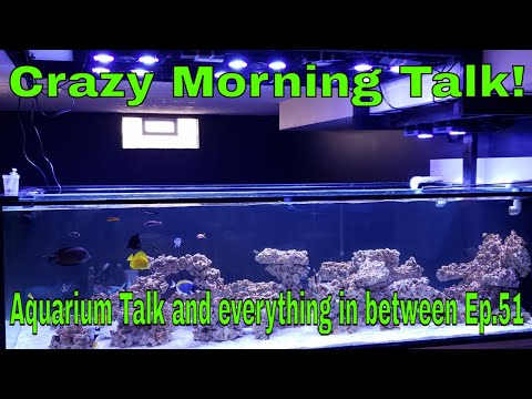 Morning aquarium talk