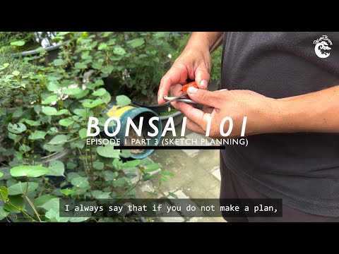 BONSAI 101 EP 1 FREEHAND SKETCH BONSAI  PLANNING (PART 3 W/ ENG SUB)