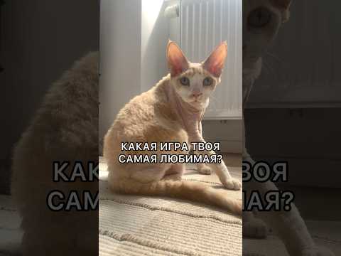 Какая игра твоя самая любимая?👾 #подпишись #ileocat #рекомендации #котики #shortvideo