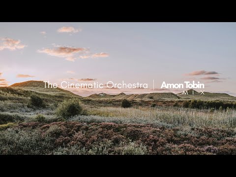 The Cinematic Orchestra | Amon Tobin - Mix (Pt.1)