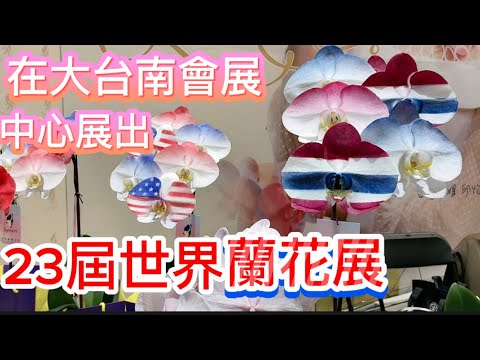 2024年，台灣［第23屆世界蘭花展］來自世界各國的蘭花，都是與眾不同的品種，超級吸引人。「客家小玲」#50