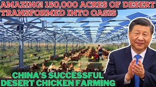 How China’s Desert Chicken Farming Transformed 150,000 Acres into a Green Oasis? China’s Desert Farm