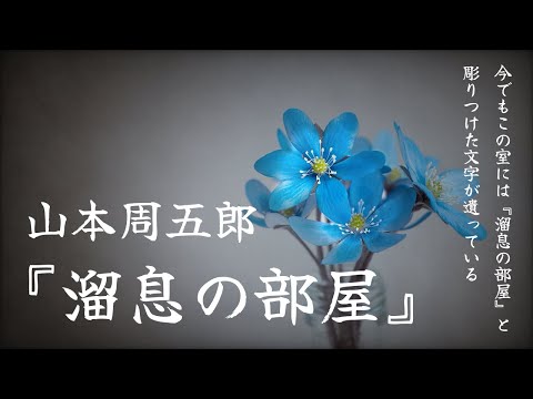 【朗読】みんなどん底から這い上がりたいんだ『溜息の部屋』山本周五郎【睡眠導入、読み聞かせ】