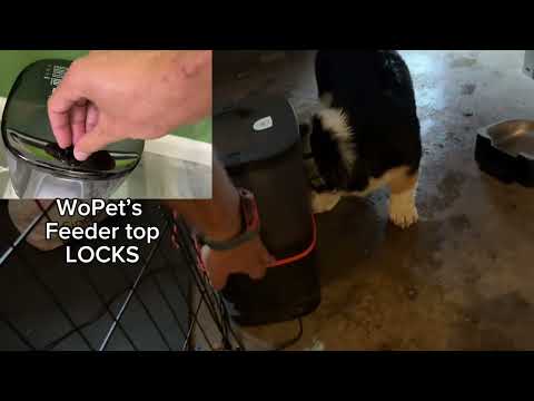 ★☆☆☆☆ UPDATE: For dog owners: Beware of this PETLIBRO auto-feeder falls apart!