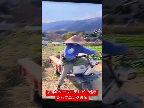 京都洛西地区の「ふれあいまっしょい！リターンズ」ZTVのロケにて起きたハプニング映像