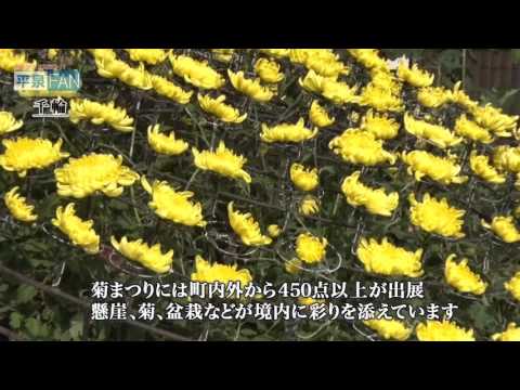 【世界遺産平泉】NEWS#34 中尊寺 菊まつり開幕_H27.10.20up