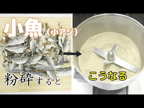 【魚粉作り】小魚（小アジ）を粉末にできる機械（フリースピードミル）