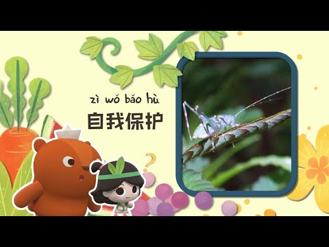 幼儿科普丨认识植物 |植物怎么保护自己？| Preschool Learning Cartoons |basic science concepts for kids