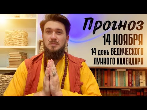 14 ноября ПРОГНОЗ СИЛЬНЫЙ ДЕНЬ! Кир Сабреков 2024