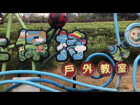 20200301 大北坑休閒農業區-戀戀魯冰花