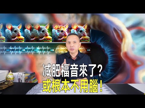 減肥福音來了？老鼠進食神經機制曝光，未來減肥或根本不用腦！