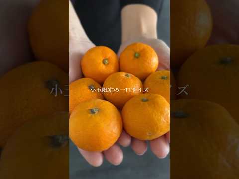 みかん200個消費🍊！！ふるさと納税返礼品レシピ