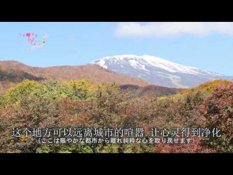 81鳥海高原家族旅行村（山形）