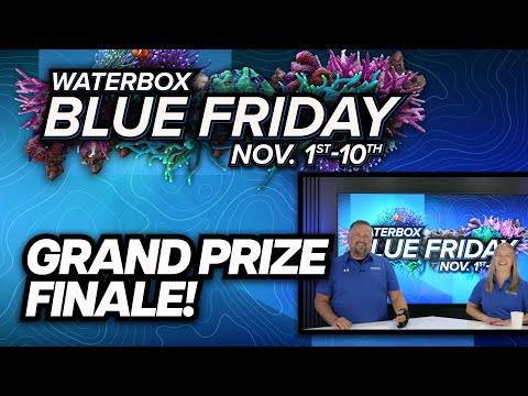 Blue Friday Winners REVEALED!