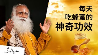 超级食物：每天吃蜂蜜的神奇功效 | Sadhguru 萨古鲁