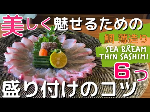 【プロ向け】薄造り｜鯛｜THIN SASHIMI｜SEA BREAM