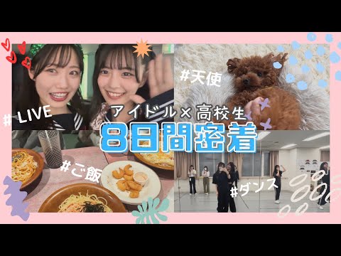 【vlog】学生アイドルの8日間密着/ NMB48クリスマスLIVE