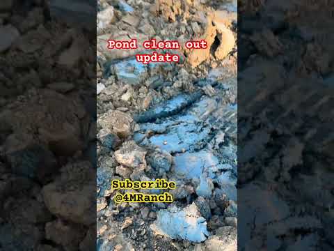 Pond clean out update #shortsvideo #farming #ponds #fishing