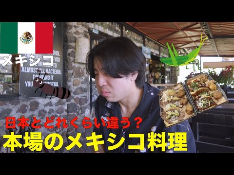 メキシコ人が勧める本場のメキシコ料理を食べてみた🇲🇽