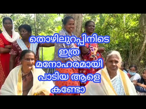 എത്ര ഭംഗിയായാണ് ഈ പാട്ടിവർ പാടുന്നത്.#nss #music #song #old song #viral videos