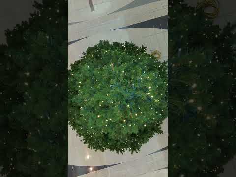 Phoenix City Hall Holiday Tree! It's Huge! - Happy Holiday's from PHXTV!