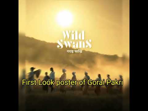 First Look poster of Gorai Pakri Wild Swans Bodo Film #shorts #youtubeshorts