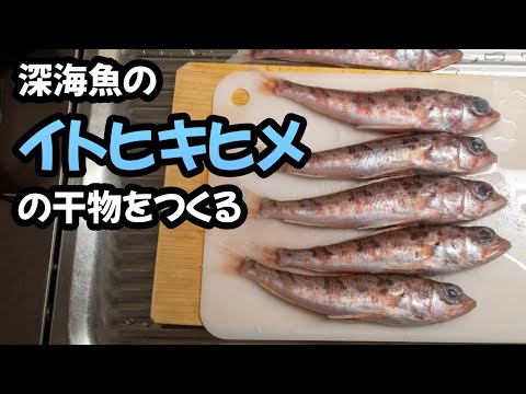 深海魚のイトヒキヒメで干物をつくる🐟