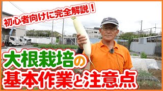 絶対マスターしたい大根栽培を家庭菜園で成功させる方法を完全解説！種まき・間引き・害虫対策まで大根栽培の基本を徹底解説！【農園ライフ】