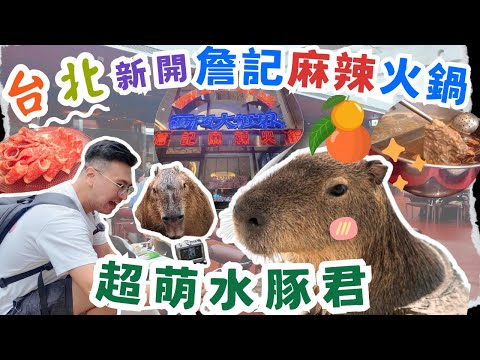 【西門町新開詹記麻辣火鍋】療癒水豚君體驗 & 太空酒吧探險🥳台北美食｜粵語中字｜4K Eng CC