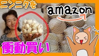 【シマいリス】Amazonで 青森産 訳アリ 生ニンニク を衝動買いした結果