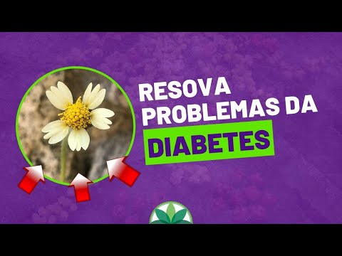 Os surpreendentes benefícios da ERVA-DE-TOURO no tratamento da diabetes TIPO 2