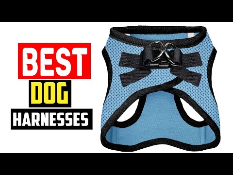 ✅Best Dog Harnesses in 2023